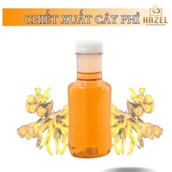 Cung Cấp Chiết Xuất Cây Phỉ