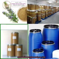 Chiết xuất hương thảo- Nguyên liệu mỹ phẩm thiên nhiên đem lại công dụng chăm sóc vượt trội cho làn da