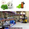 Chiết xuất rau má- Nguyên liệu mỹ phẩm thiên nhiên dùng trong sản xuất serum, kem, lition, sữa rửa mặt, sản phẩm chăm sóc trước và sau khi đi nắng