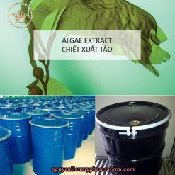 Chiết xuất tảo biển- Nguyên liệu mỹ phẩm thiên nhiên từ thực vật chứa nhiều khoáng chất, vitamin, axit béo