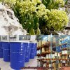 Chiết xuất thì là biển- nguyên liệu mỹ phẩm thiên nhiên mới