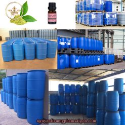 Chiết xuất trà xanh- Nguyên liệu mỹ phẩm thiên nhiên có vai trò tác dụng chống oxy hóa và chống viêm