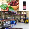 Chiết xuất dâu tằm- Nguyên liệu mỹ phẩm thiên nhiên có hàm lượng dưỡng chất cao