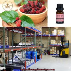 Chiết xuất dâu tằm- Nguyên liệu mỹ phẩm thiên nhiên có hàm lượng dưỡng chất cao