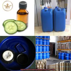 Chiết xuất dưa leo- Nguyên liệu mỹ phẩm thiên nhiên được chiết xuất trực tiếp từ dưa leo