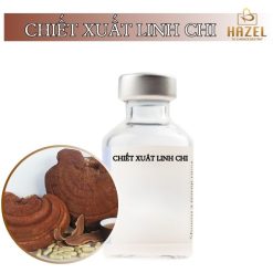 Chiết xuất linh chi