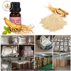 Cung cấp Chiết xuất nhân sâm thiên nhiên