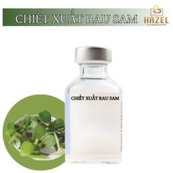 Chiết suất rau sam