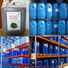 Chiết xuất trầu không- Nguyên liệu mỹ phẩm thiên nhiên ƯU VIỆT với khả năng kháng khuẩn cao