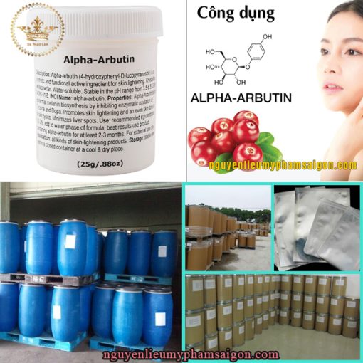 Hoạt chất trắng da Alpha Arbutin- Nguyên liệu mỹ phẩm trắng da được mệnh danh là “thần dược kích trắng” an toàn phù hợp với mọi loại da