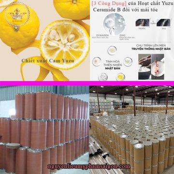 Hoạt chất Yuzu Ceramide B- Nguyên liệu mỹ phẩm được Chiết xuất từ cam Yuzu được biết đến với khả năng tăng cường sản xuất collagen, giúp da săn chắc, và làm giảm nếp nhăn hiệu quả