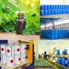 Tinh dầu bạc hà- Chiết xuất thiên nhiên giảm thâm, cung cấp độ ẩm làm sạch da điều tiết bã nhờn gúp làn da thông thoáng sach mụn