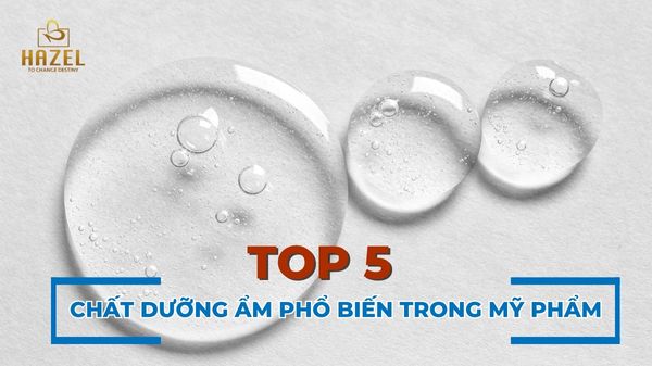 Top 5 chất dưỡng ẩm thông dụng hiện nay