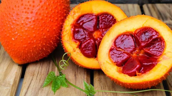 Công thức làm son môi với dầu gấc