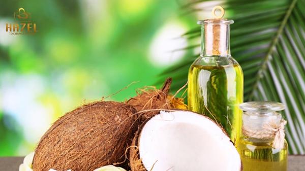 Dầu dừa - Nguyên liệu mỹ phẩm organic phổ biến