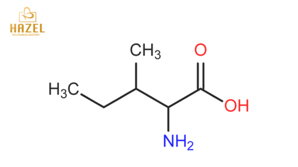 Định nghĩa isoleucine là gì? 