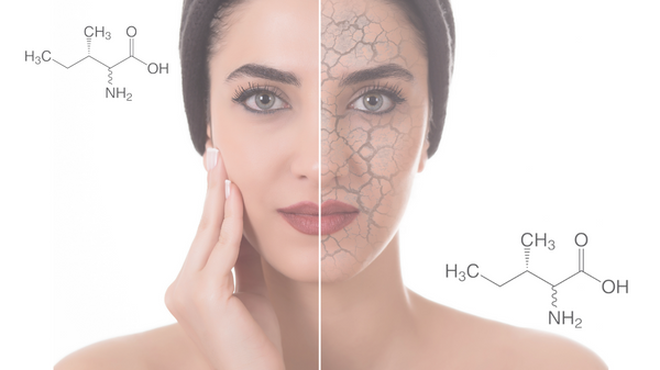 Lợi ích của Isoleucine