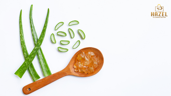 Khái niệm chiết xuất lô hội