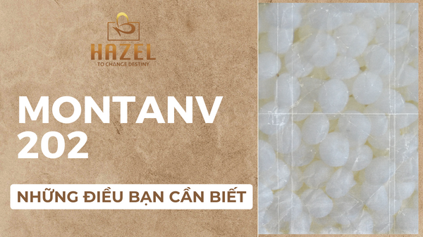Những điều cần biết về chất nhũ hóa montanov 202