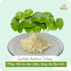 Hoạt chất Centella Asiatica Triterp