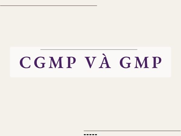 cgmp và gmp
