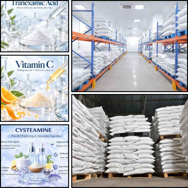 Những Hoạt Chất Trắng Da